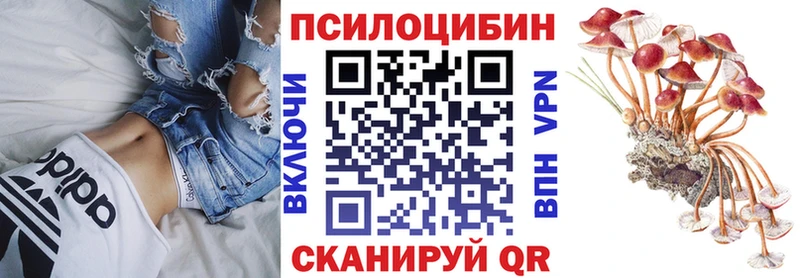 shop клад Медногорск Псилоцибиновые грибы мицелий